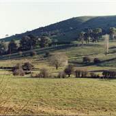 Orange and surrounds