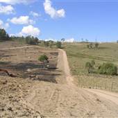 Megalong Valley