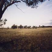 Parkes
