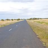 Walgett Area