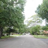 Coolabah Ave - Pymble
