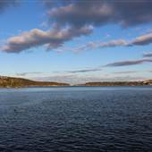 The Spit Bridge & Reserve