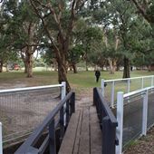 Centennial Park - Ash Paddock