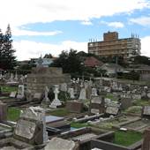 South Head Cemetery
