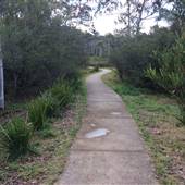 The Gully Walk, Katoomba (formerly Catalina Park)
