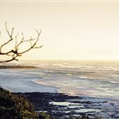 Shelly Beach Rockpools
