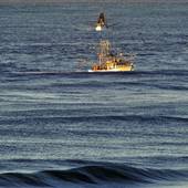 Fishing Trawlers