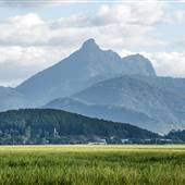 Tweed Valley - Mt Warning Views