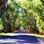 Narrabri NSW 2390