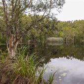Tyagarah Nature Reserve