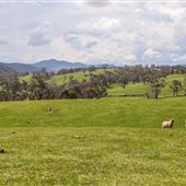 Lowther countryside