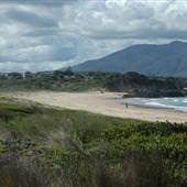 Bermagui