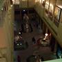 Australian Museum