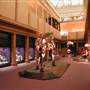 Australian Museum