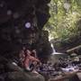 Barrington Tops area