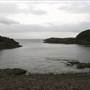 Bass Point Reserve