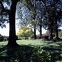 Albury