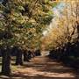 Albury