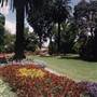 Albury