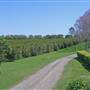 Alstonville