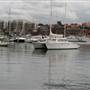 Balmain Cove and Balmain Shores