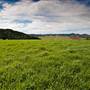 Bellinger Valley