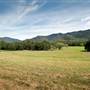 Bellinger Valley