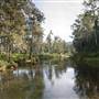 Bellinger Valley