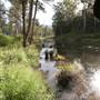 Bellinger Valley