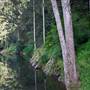 Bellinger Valley