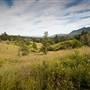 Bellinger Valley