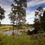 Bellinger Valley