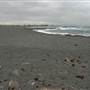 Black Sand Beach, Bass Point Reserve & Shell Cove