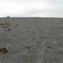 Black Sand Beach, Bass Point Reserve & Shell Cove