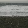 Black Sand Beach, Bass Point Reserve & Shell Cove