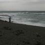 Black Sand Beach, Bass Point Reserve & Shell Cove