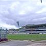 Blue Tongue Central Coast Stadium