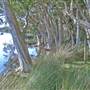 Northern Broadwater Picnic Area