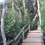Byron Bay