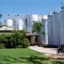 Casella Winery