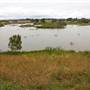 Cecil Hoskins Nature Reserve Moss Vale