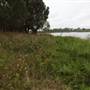 Cecil Hoskins Nature Reserve Moss Vale