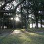 Centennial Park