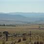 Dalgety/Cooma