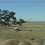 Dalgety/Cooma