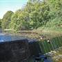 Dalwood Falls