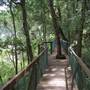 Dangar Falls and Cascades near Dorrigo
