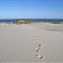 Dark Point Dunes