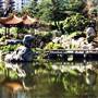 Chinese Garden of Friendship - Darling Harbour
