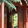 Chinese Garden of Friendship - Darling Harbour